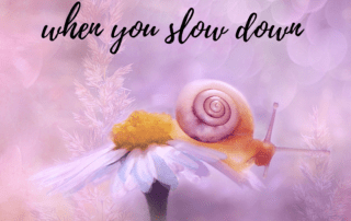 slow down improve