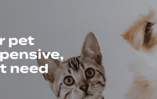 Wagmo pet health plans